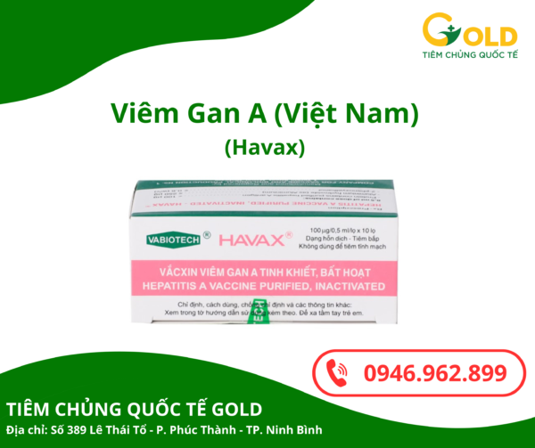 Havax Viet Nam