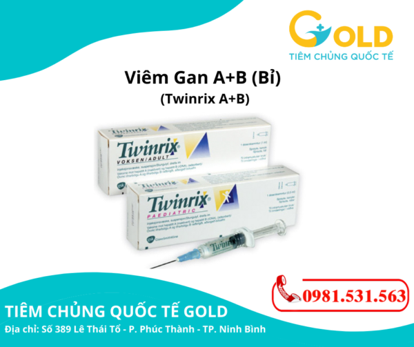 Vắc Xin TWINRIX A+B (Bỉ) | Vaccine Viêm Gan A+B