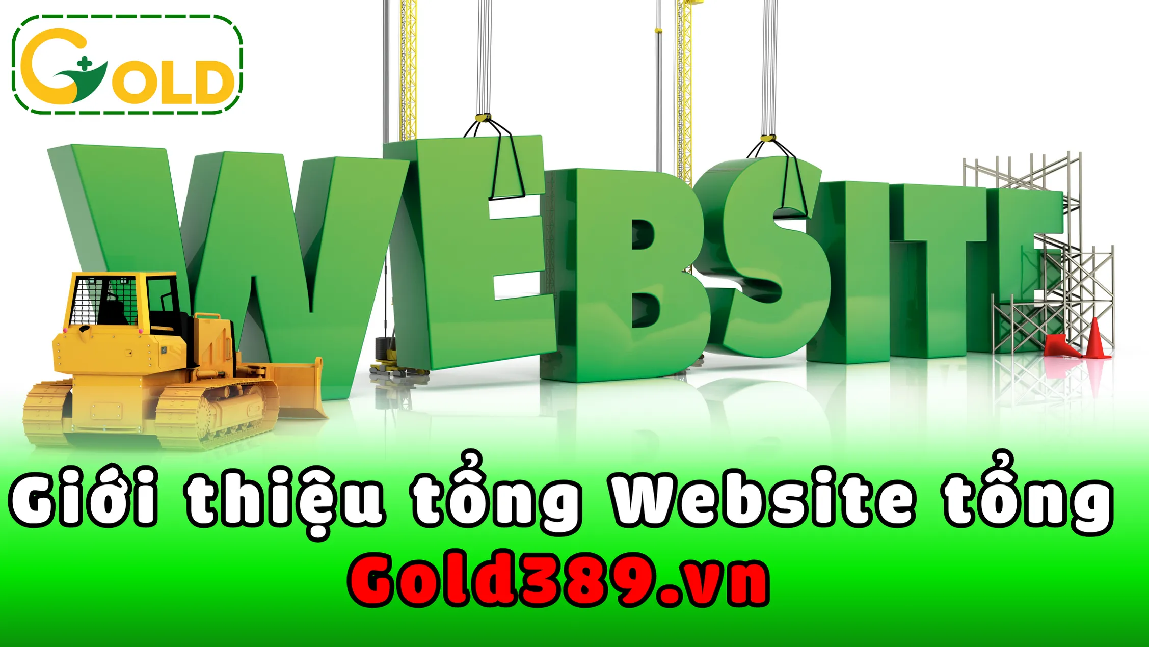 Gioi Thieu Tiem Chung Da Lieu Tham My Phcn Yhct